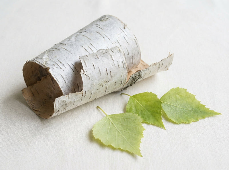 Betula Alba Bark/Leaf Extract